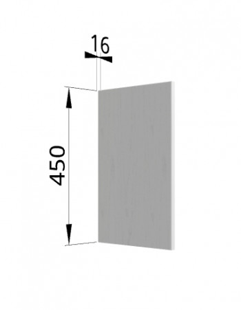 Панель торцевая (для шкафа горизонтального высокого) ВПГ Ройс (Графит софт) в Ужанихе - uzhaniha.mebel54.com | фото